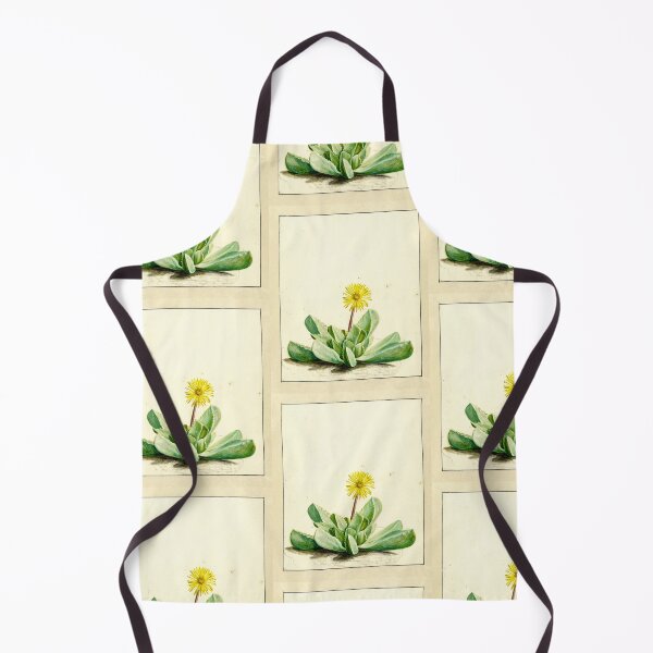 Item preview, Tiger jaw succulent - Faucaria subintegra - botanical illustration designed and sold by chimakingthings.