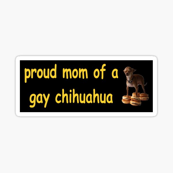 orgullosa mamá de un meme chihuahua gay pegatina para el parachoques Pegatina