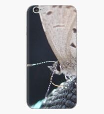 Butterfly Macro iPhone Case
