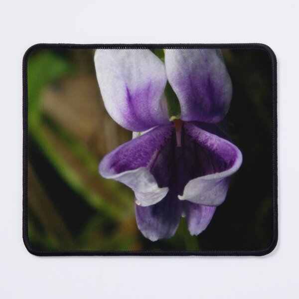 Item preview, Violet Treasure designed and sold by GP1746.