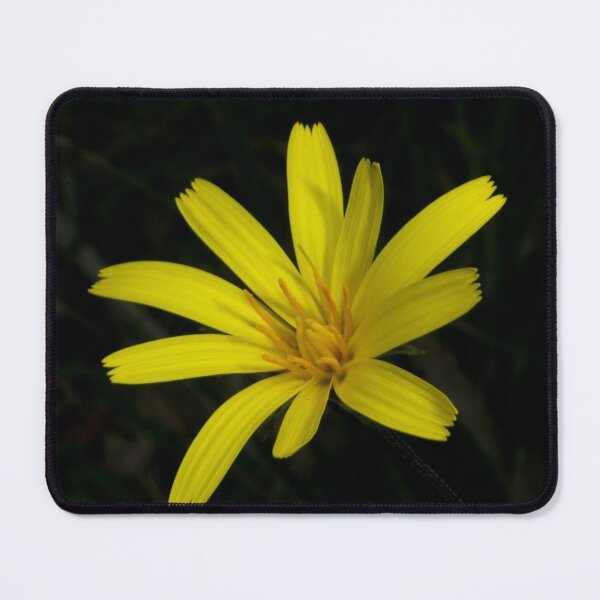 Item preview, Yam In Bloom designed and sold by GP1746.