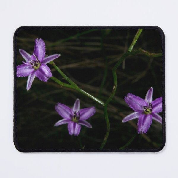 Item preview, Twining Fringes designed and sold by GP1746.