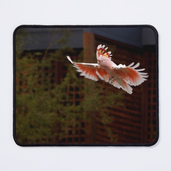 Item preview, Major Mitchell In Flight designed and sold by GP1746.