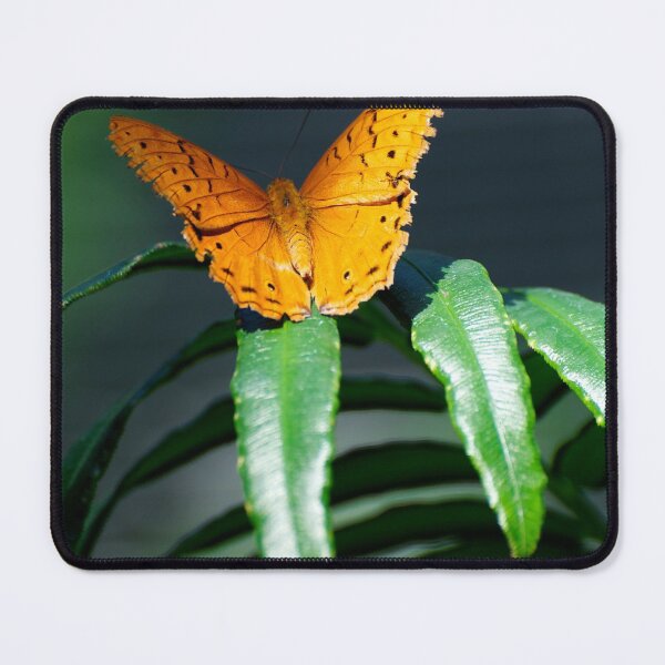 Item preview, Orange Lacewing At Rest designed and sold by GP1746.