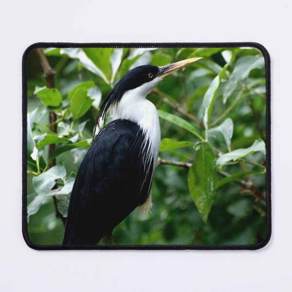 Item preview, Pied Heron designed and sold by GP1746.