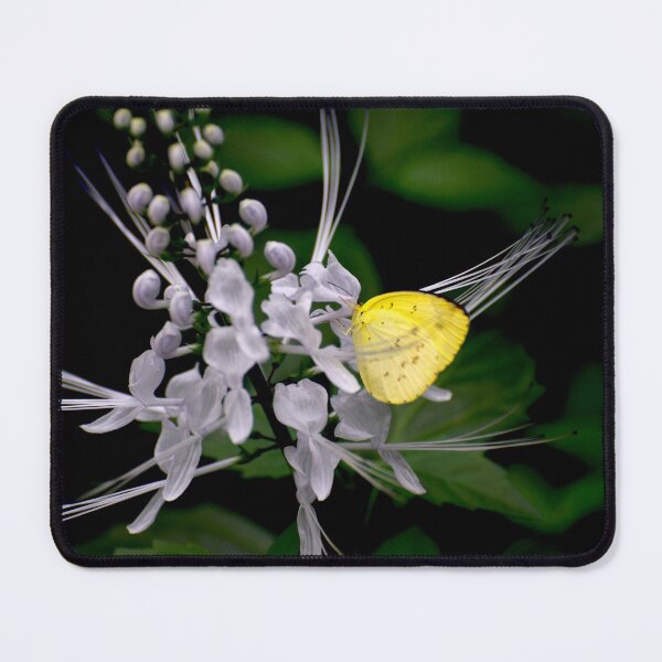 Item preview, Lemon Migrant designed and sold by GP1746.