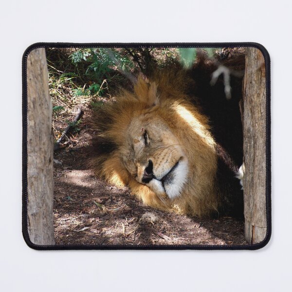 Item preview, Lion After Lunch Nap designed and sold by GP1746.