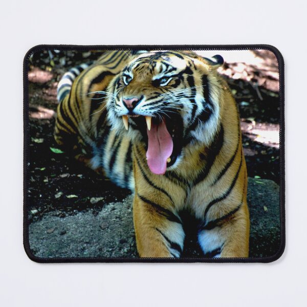 Item preview, Snarling Tiger designed and sold by GP1746.