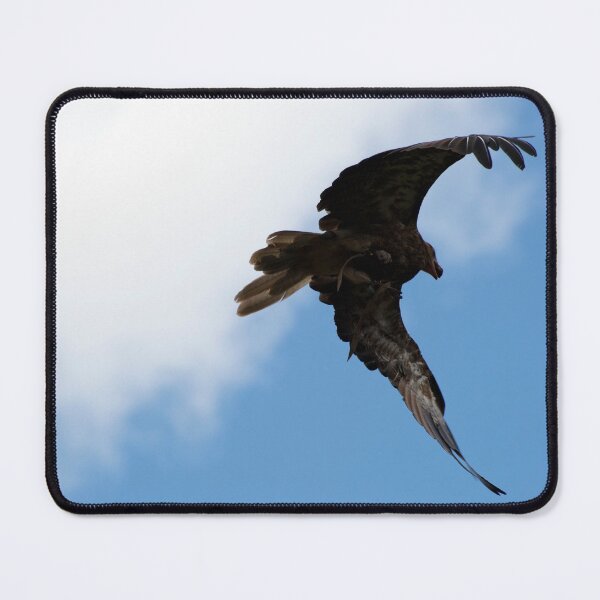 Artikelvorschau, Whistling Kite Feeding On the Wing entworfen und verkauft von GP1746.