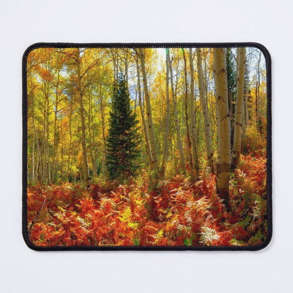 Item preview, Crested Butte Autumn Aspen Trees Red Ferns by OLena Art designed and sold by Rocky Mountain Artistry.