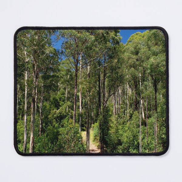 Item preview, Forest Walk designed and sold by GP1746.