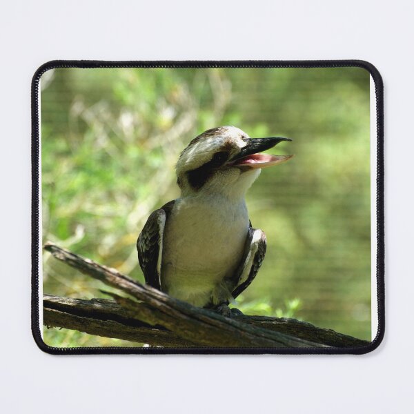 Item preview, Laughing Kookaburra designed and sold by GP1746.