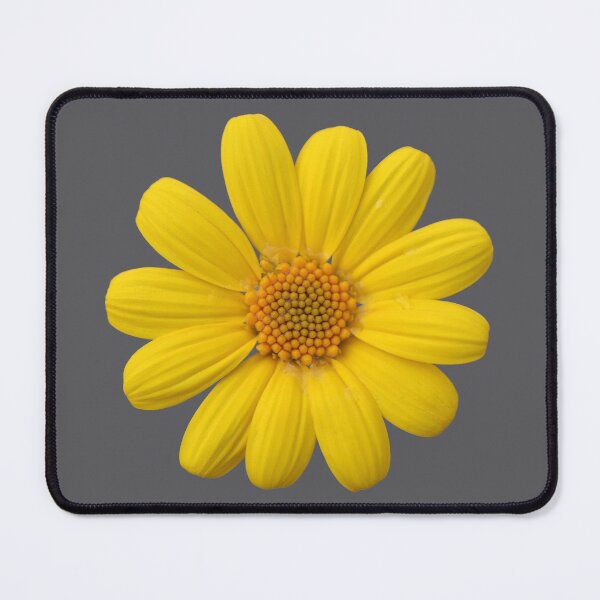 Item preview, Yellow Daisy designed and sold by STHogan2.