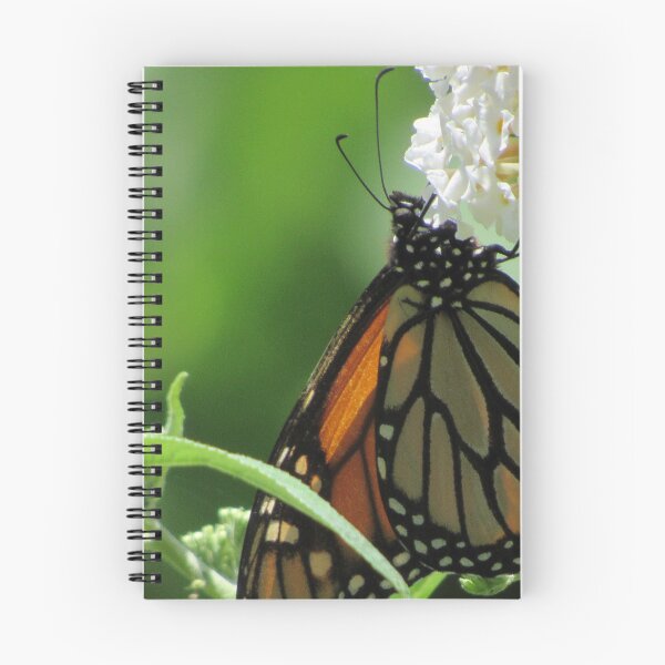 Item preview, Beautiful Butterfly on Flower designed and sold by MckennaChanel.