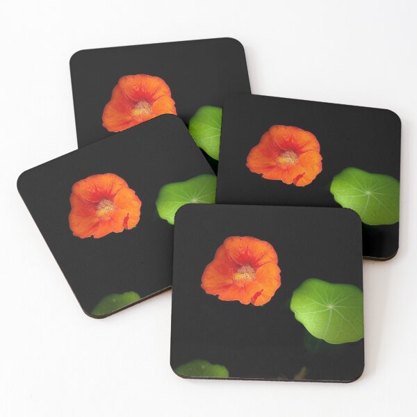 Item preview, Nasturtium  designed and sold by W Strauss.