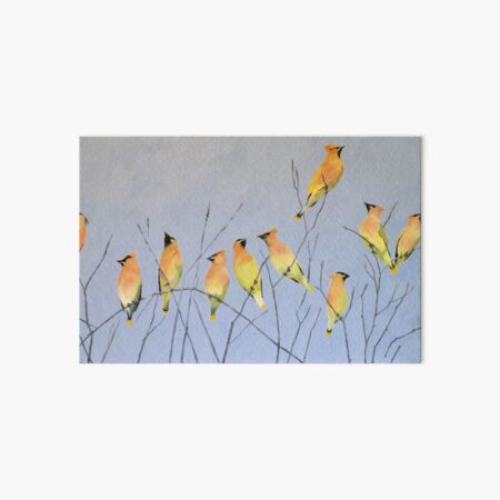 Cedar Waxwings in Winter Art Board Print