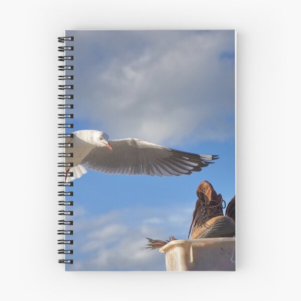 Item preview, Gaviota y Botas designed and sold by Dean Wiles.