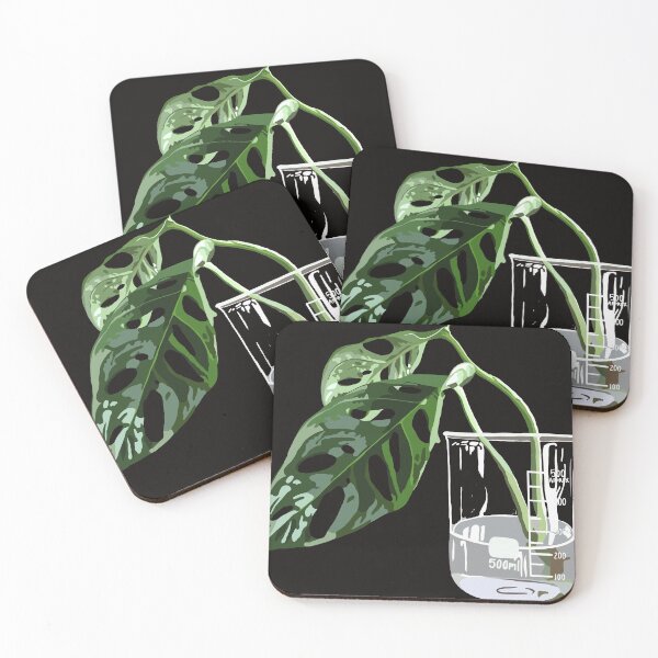 Item preview, Swiss Cheese Plant - Monstera Adonsonii Leaves designed and sold by LaynsLeaf.