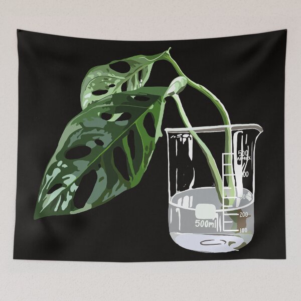 Item preview, Swiss Cheese Plant - Monstera Adonsonii Leaves designed and sold by LaynsLeaf.