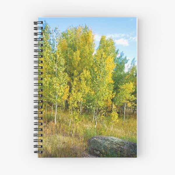 Item preview, Fall Aspens with pretty rock designed and sold by Fandom-Finesse.