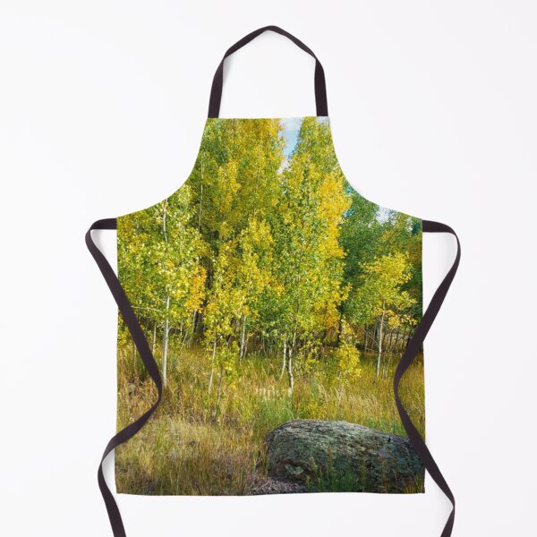 Item preview, Fall Aspens with pretty rock designed and sold by Fandom-Finesse.