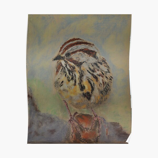 Lincoln's Sparrow Poster