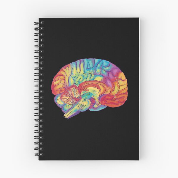 Item preview, Human brain designed and sold by DerSenat.