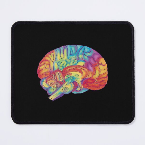 Item preview, Human brain designed and sold by DerSenat.