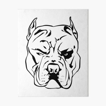 Drawn pitbull angry animal - Pencil and in color drawn pitbull angry animal  Good ideas. | Angry dog, Angry animals, Sketches