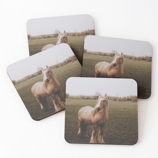 Item preview, Little Pony  designed and sold by asun5.