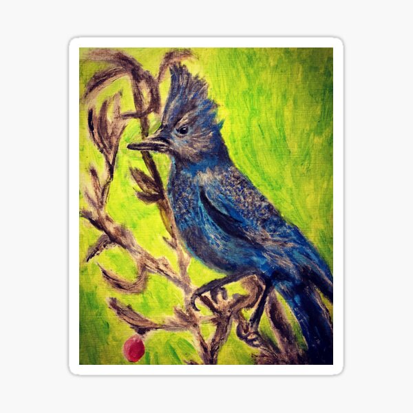 Stellar Jay Sticker