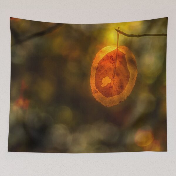 Item preview, From the autumn forest designed and sold by Veikko  Suikkanen.