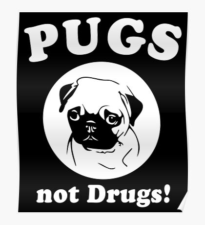 pugs not drugs poster pugs not drugs posters redbubble pugs not drugs poster pugs not drugs posters redbubble
