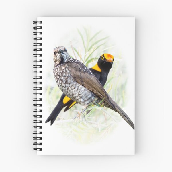 Item preview, Regent Bowerbird Pair designed and sold by carol brandt.