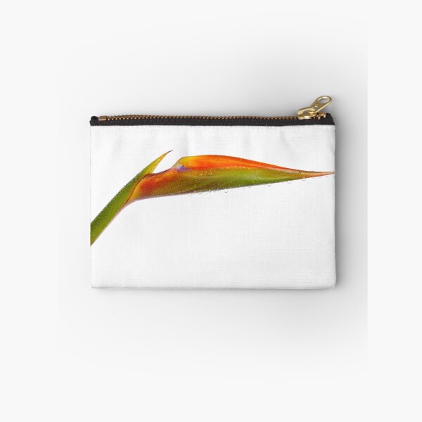 Aperçu de l'œuvre Oiseau de paradis créée et vendue par VisualFX.