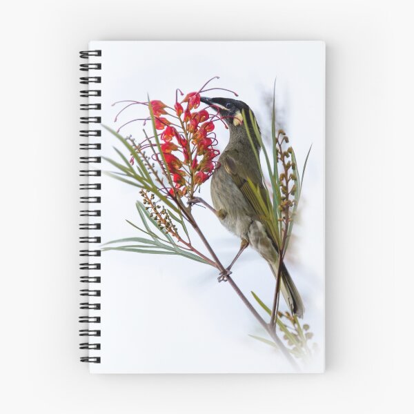 Item preview, honeyeater designed and sold by carol brandt.