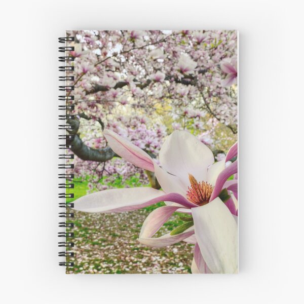 Item preview, Magnolia Forest designed and sold by TaiChiJohn.
