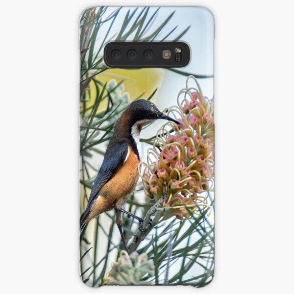 eastern spinebill Samsung Galaxy Snap Case