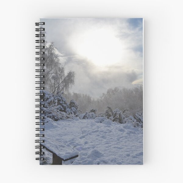 Item preview, Winter Scene designed and sold by DiddyH.