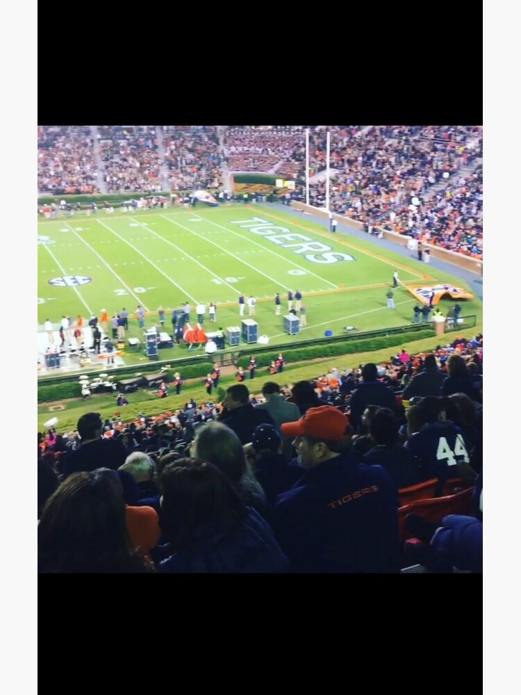 Auburn Enlightened by pandpmedia
