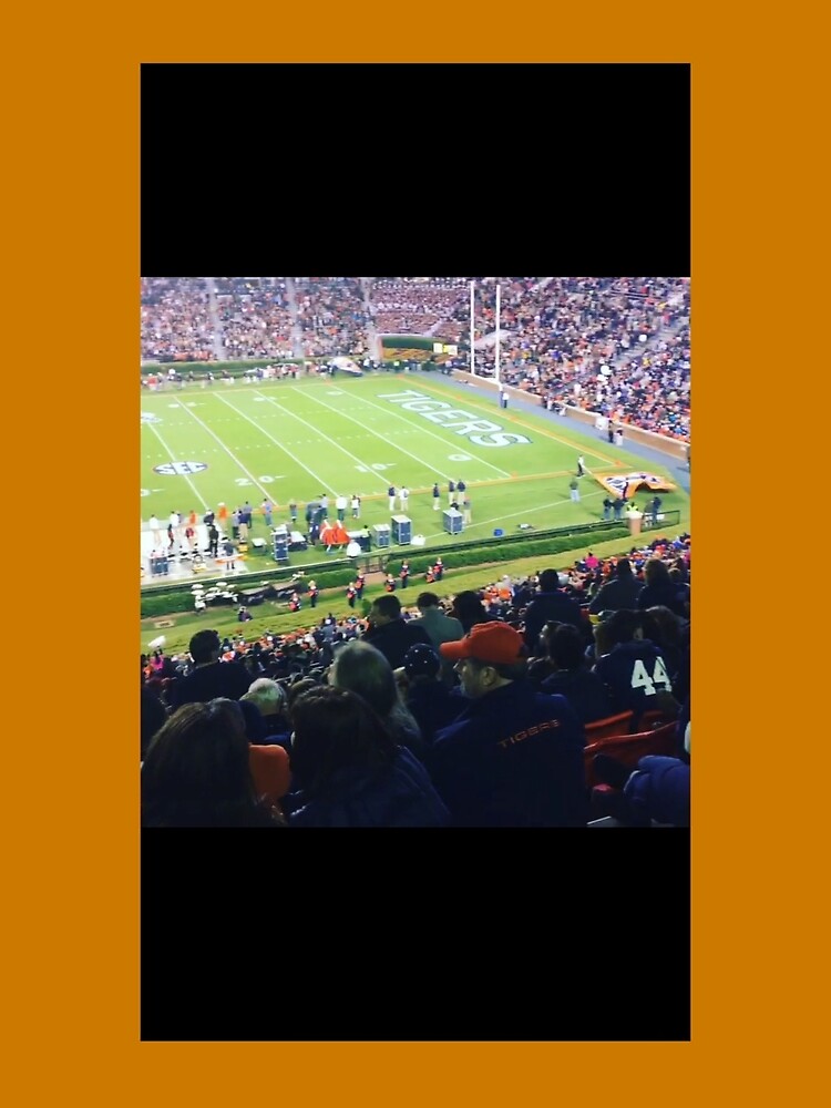 Auburn Enlightened by pandpmedia