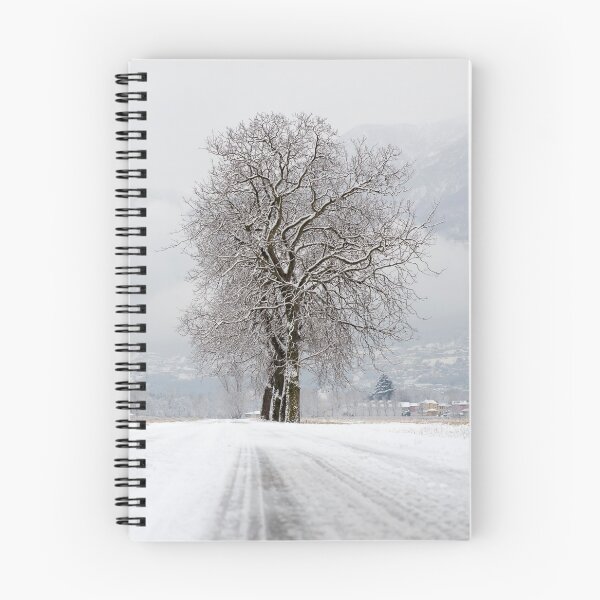 Item preview, Bare Tree on a Winter Road with Mountain in a Snowy Day designed and sold by Mats Silvan.