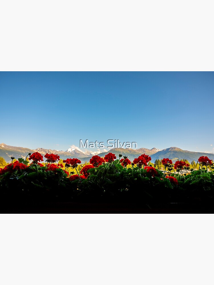 Disover Panoramic View over Mountain with Snow and Weisshorn with 4505 Meters High and with Flowers Premium Matte Vertical Poster