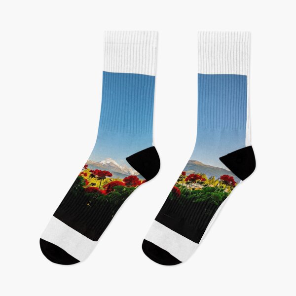Item preview, Panoramic View over Mountain with Snow and Weisshorn with 4505 Meters High and with Flowers designed and sold by Mats Silvan.