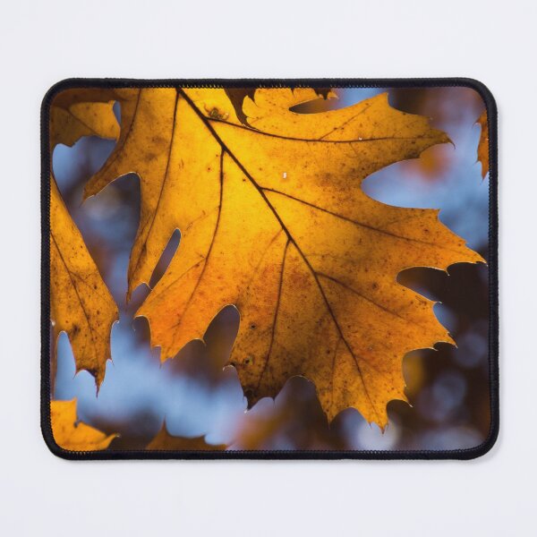 Item preview, Glowing Autumn - Golden Oak Leaf designed and sold by Georgia Mizuleva.