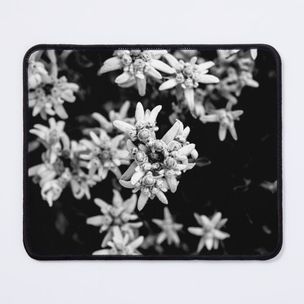 Item preview, Edelweiss Flower in Crans Montana designed and sold by Mats Silvan.