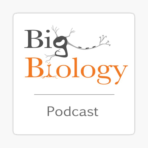 Item preview, Big Bio - original designed and sold by BigBiology.