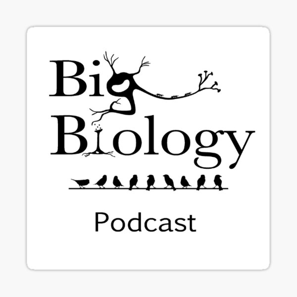 Item preview, Big Bio - birds designed and sold by BigBiology.