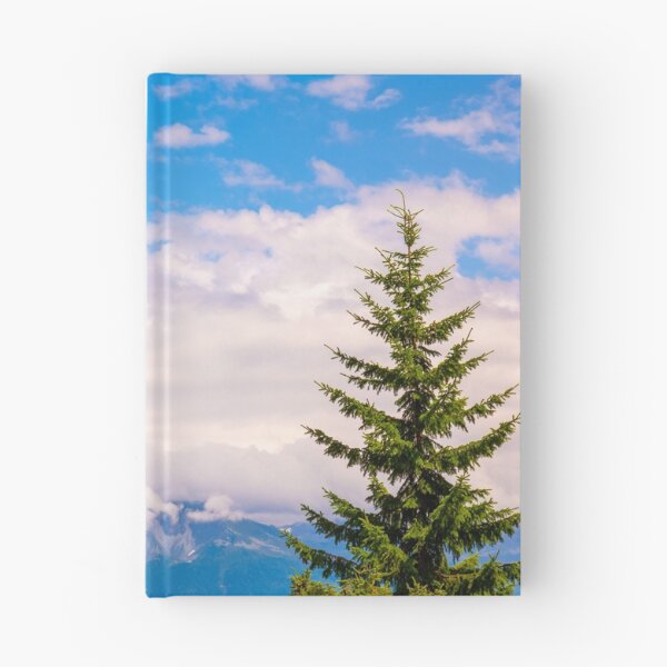 Item preview, Wood Building with Balcony and Flower and Sunlight with Mountain in Crans Montana designed and sold by Mats Silvan.