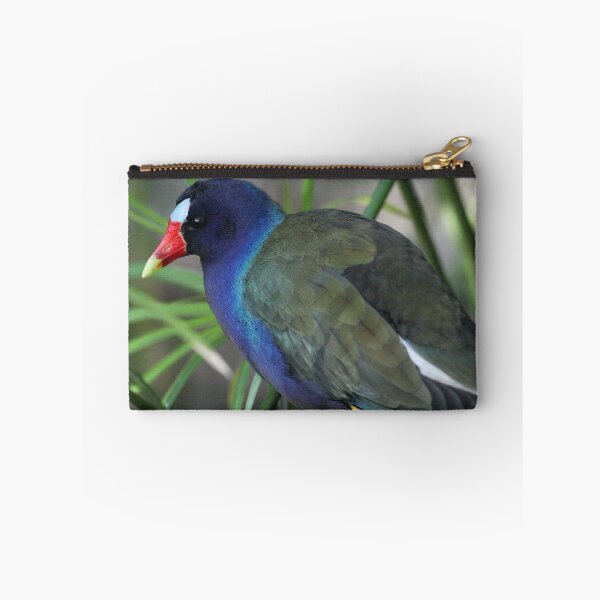 Item preview, Purple Gallinule designed and sold by Carol Bailey-White.